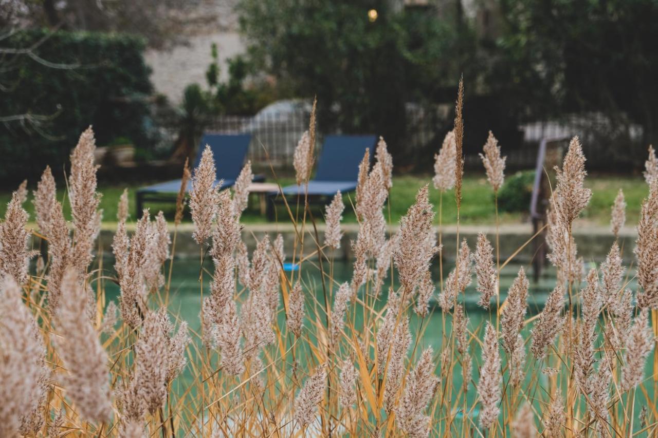 Waya A Domaine Saint Domingue Bed & Breakfast Narbonne Exterior foto